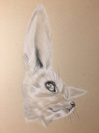 Fennec